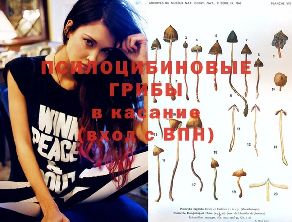 тгк Вязники