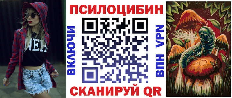 Купить где  Озёры  Псилоцибиновые грибы Psilocybine cubensis 